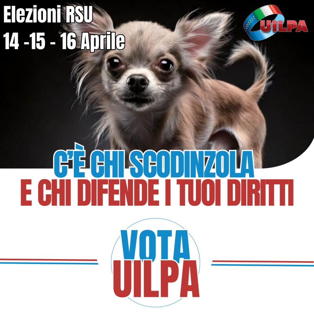 ALLE ELEZIONI RSU 2025 VOTA UILPA
