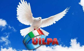 colomba_uilpa