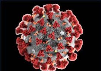 images_Coronavirus