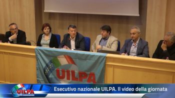 images_Esecutivo_2022
