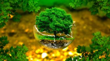 images_ambiente_salute