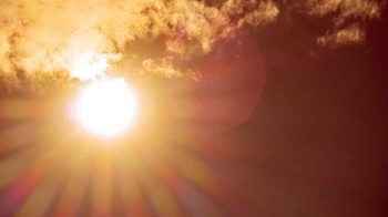 images_caldo-9