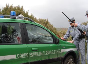 images_corpo-forestale-stato