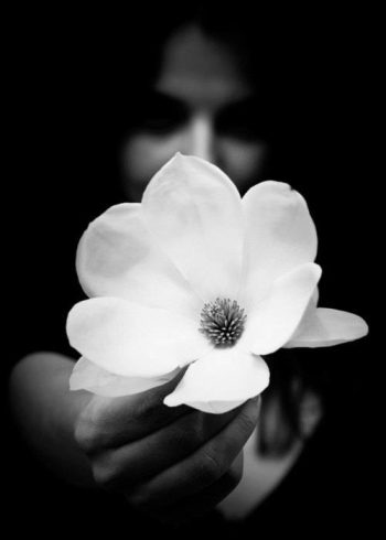 images_donne_1