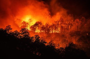images_incendi