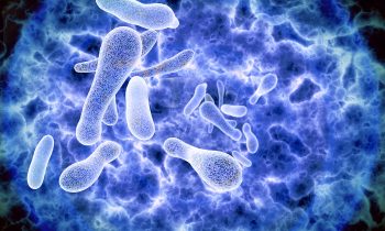 images_legionella