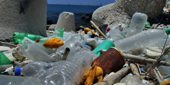 images_microplastiche