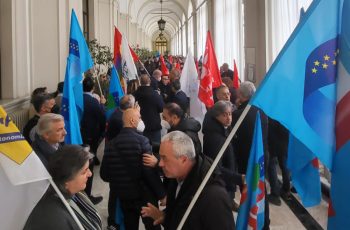 mef_assemblea