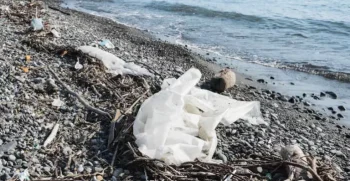 rifiuti_spiaggia