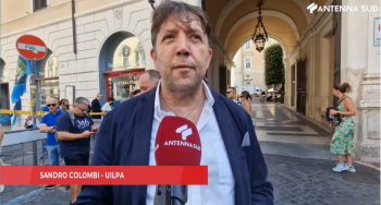 sandro_antennasud